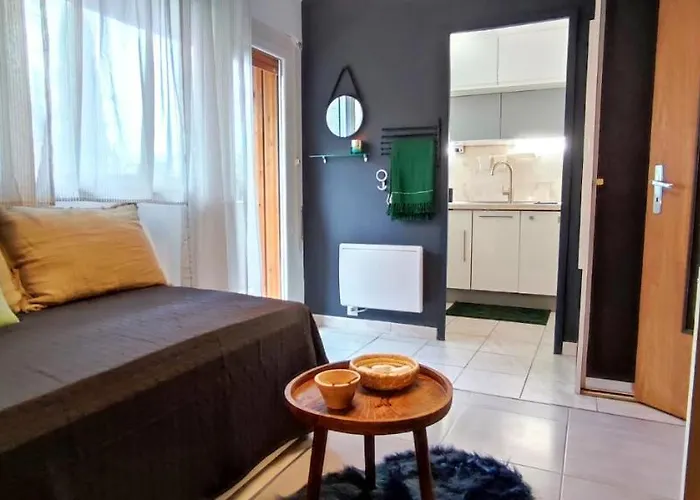 Michelet Studio Climatise Avec Balcon Et Parking Ferme